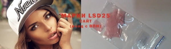 2c-b Ельня