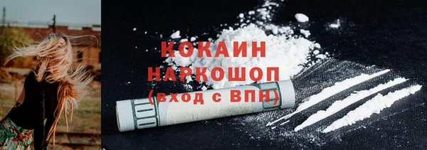 2c-b Ельня