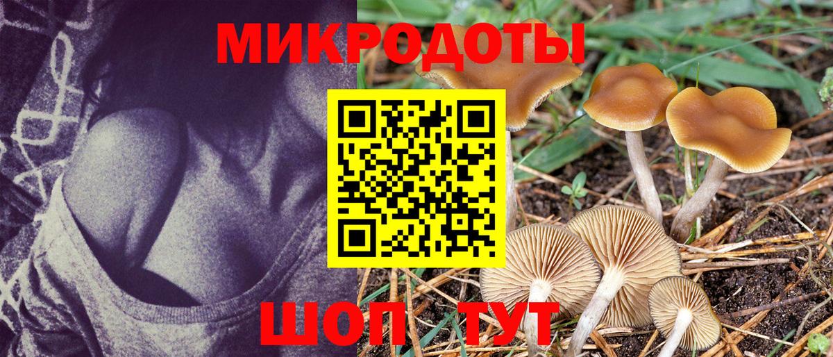 Псилоцибиновые грибы прущие грибы  Вход с VPN  Североморск  Галлюциногенные грибы GOLDEN TEACHER 